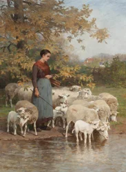 Shepherdess Watering Her Flock